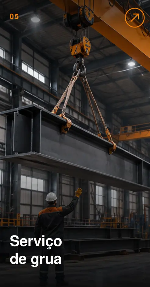 Serviço de grua em ambiente industrial